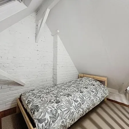 Appartement Duplex De La Place De